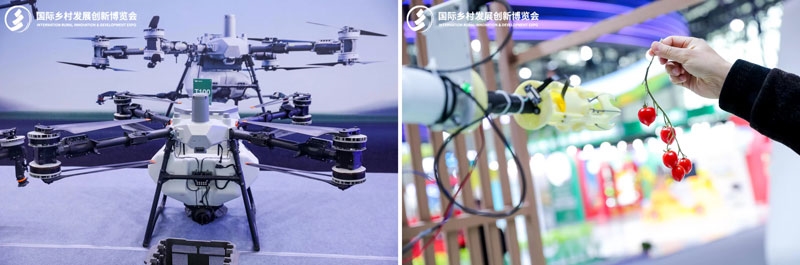 2026 IRID國(guó)際鄉(xiāng)村發(fā)展創(chuàng)新博覽會(huì)正式啟動(dòng)：科技賦能鄉(xiāng)村，創(chuàng)新引領(lǐng)未來(lái)！